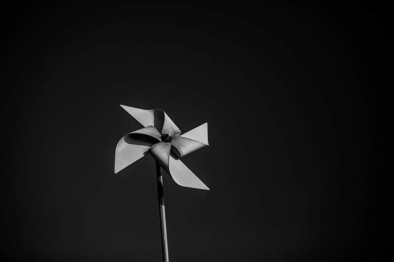 Custom origami gift design